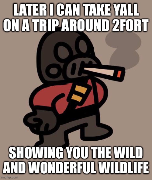 Pyro smokes a fat blunt | LATER I CAN TAKE YALL ON A TRIP AROUND 2FORT; SHOWING YOU THE WILD AND WONDERFUL WILDLIFE | image tagged in pyro smokes a fat blunt | made w/ Imgflip meme maker