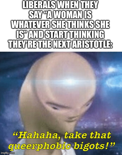You’re not smart, you’re simply a relativist who has no grounding in reality. | LIBERALS WHEN THEY SAY “A WOMAN IS WHATEVER SHE THINKS SHE IS” AND START THINKING THEY’RE THE NEXT ARISTOTLE:; “Hahaha, take that queerphobic bigots!” | image tagged in smort,liberal logic,aristotle | made w/ Imgflip meme maker