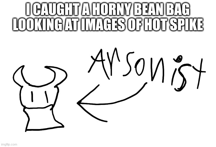 arsonist | I CAUGHT A HORNY BEAN BAG LOOKING AT IMAGES OF HOT SPIKE | image tagged in arsonist | made w/ Imgflip meme maker