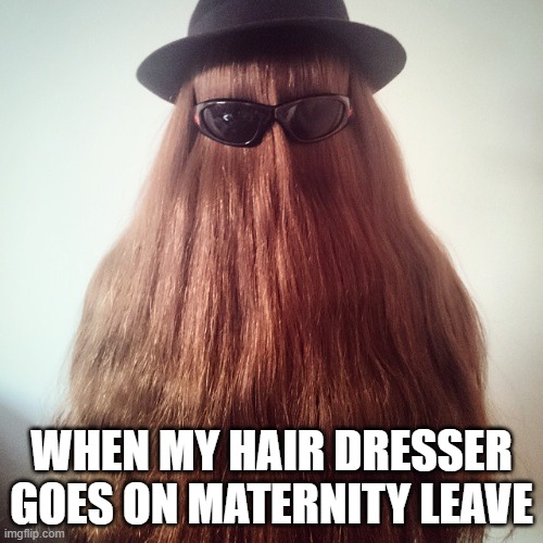 cousin it | WHEN MY HAIR DRESSER GOES ON MATERNITY LEAVE | image tagged in cousin it | made w/ Imgflip meme maker