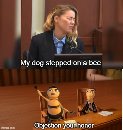 My dog stepped on a bee; Objection your honor | image tagged in memes,funny,my dog stepped on a bee | made w/ Imgflip meme maker