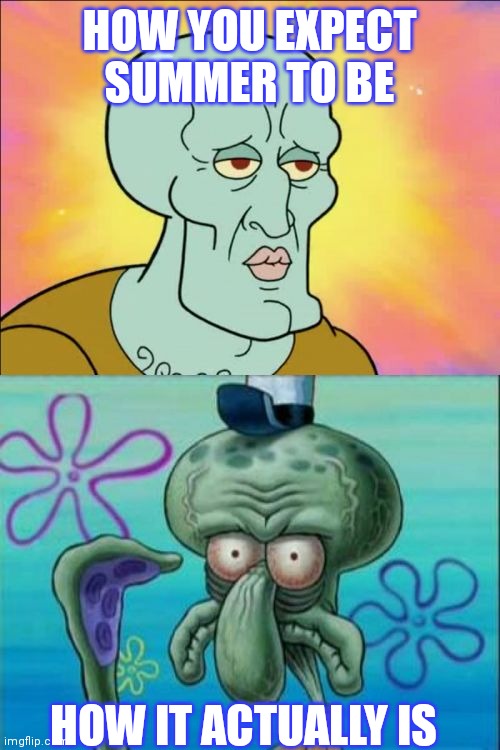 Squidward | HOW YOU EXPECT SUMMER TO BE; HOW IT ACTUALLY IS | image tagged in memes,squidward,funny memes,fun,funny,lol | made w/ Imgflip meme maker