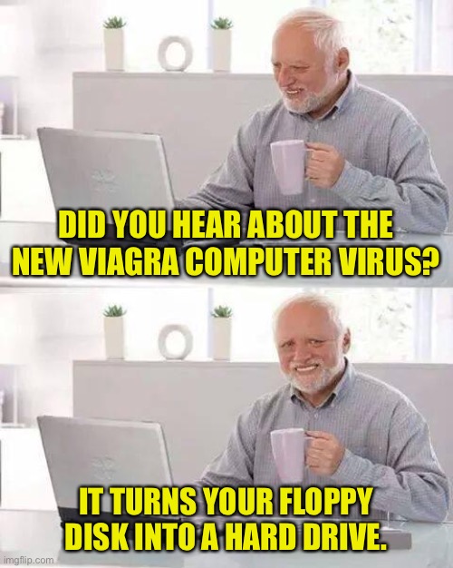 Computer virus | DID YOU HEAR ABOUT THE NEW VIAGRA COMPUTER VIRUS? IT TURNS YOUR FLOPPY DISK INTO A HARD DRIVE. | image tagged in memes,hide the pain harold,computer virus,viagra,floppy,hard | made w/ Imgflip meme maker