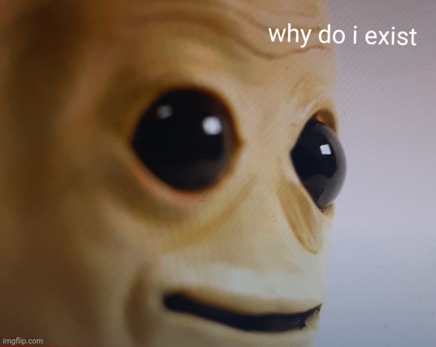 New template | image tagged in why do i exist | made w/ Imgflip meme maker