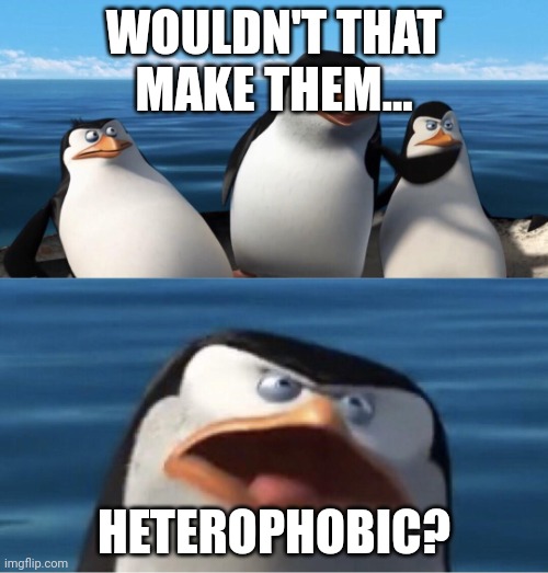 Wouldn't that make you | WOULDN'T THAT MAKE THEM... HETEROPHOBIC? | image tagged in wouldn't that make you | made w/ Imgflip meme maker