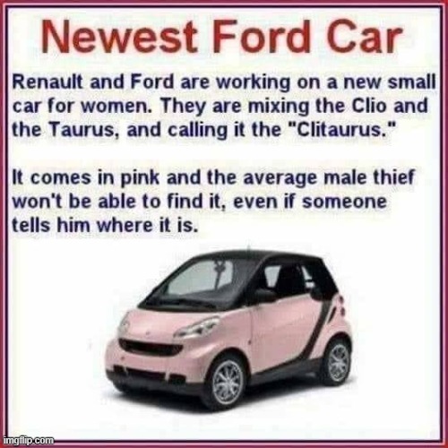 New Car Ladies ? | image tagged in invisible | made w/ Imgflip meme maker