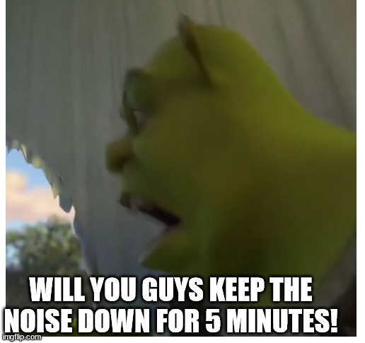 WILL YOU GUYS KEEP THE NOISE DOWN FOR 5 MINUTES! | image tagged in blank white template | made w/ Imgflip meme maker