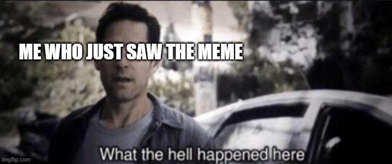 What the hell happened here | ME WHO JUST SAW THE MEME | image tagged in what the hell happened here | made w/ Imgflip meme maker