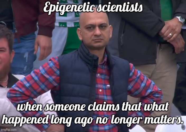 Intergenerational trauma | Epigenetic scientists; when someone claims that what happened long ago no longer matters. | image tagged in angry pakistani fan,holocaust,slavery,genocide,oppression,historical | made w/ Imgflip meme maker