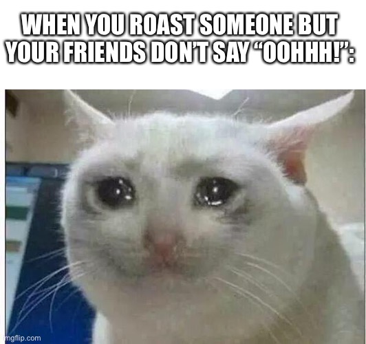 crying cat | WHEN YOU ROAST SOMEONE BUT YOUR FRIENDS DON’T SAY “OOHHH!”: | image tagged in crying cat | made w/ Imgflip meme maker