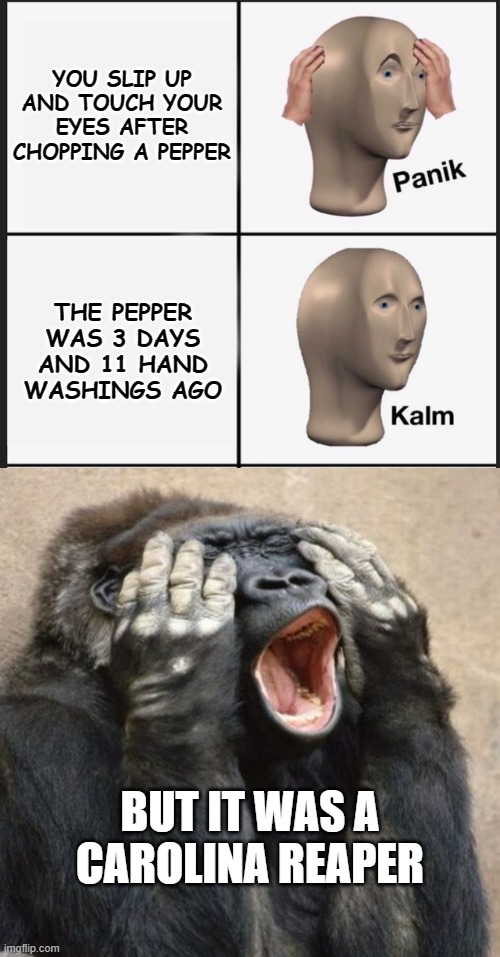 Panic-Kalm-NOOOOOOO!!! | YOU SLIP UP AND TOUCH YOUR EYES AFTER CHOPPING A PEPPER; THE PEPPER WAS 3 DAYS AND 11 HAND WASHINGS AGO; BUT IT WAS A CAROLINA REAPER | image tagged in panic-kalm,my eyes gorilla | made w/ Imgflip meme maker