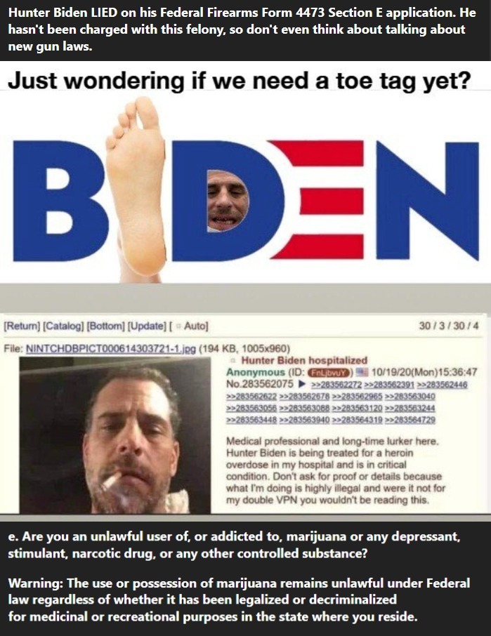 Hunter Biden LIED on his Federal Firearms Form 4473 Section E Application. | image tagged in laws for thee but not for me,hunter biden,liar liar,felony,falsifying information,perjury | made w/ Imgflip meme maker