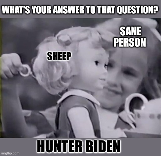 Why do people on the right hardly ever answer the actual questions? | WHAT'S YOUR ANSWER TO THAT QUESTION? SANE PERSON; SHEEP; HUNTER BIDEN | image tagged in republicans,political meme,right wing,chatty cathy,gullible,sheeple | made w/ Imgflip meme maker