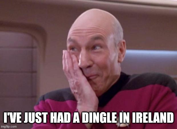 Picard smirk | I'VE JUST HAD A DINGLE IN IRELAND | image tagged in picard smirk | made w/ Imgflip meme maker