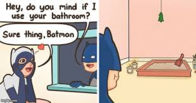 Litter | image tagged in catwoman,batman | made w/ Imgflip meme maker