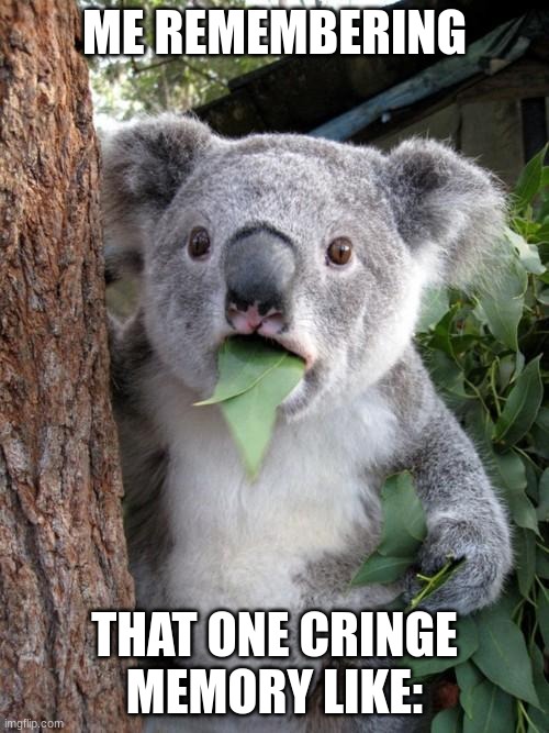 Dang it | ME REMEMBERING; THAT ONE CRINGE MEMORY LIKE: | image tagged in memes,surprised koala | made w/ Imgflip meme maker