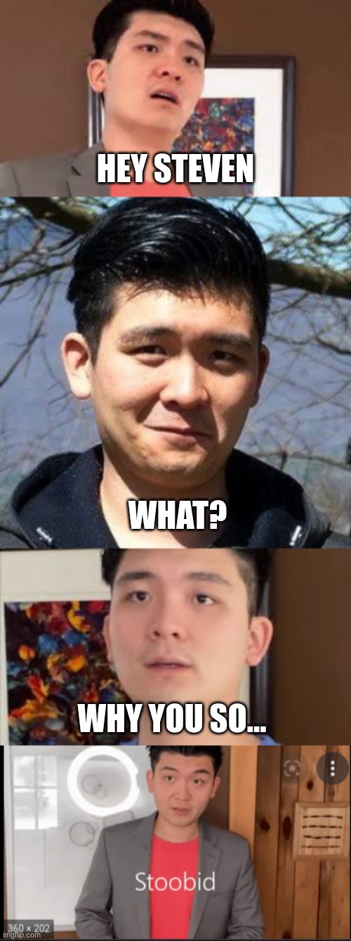 stoobid | HEY STEVEN; WHAT? WHY YOU SO... | image tagged in steven he,lol | made w/ Imgflip meme maker