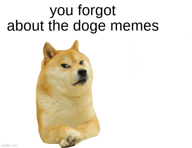 ): | you forgot about the doge memes | image tagged in memes,buff doge vs cheems | made w/ Imgflip meme maker