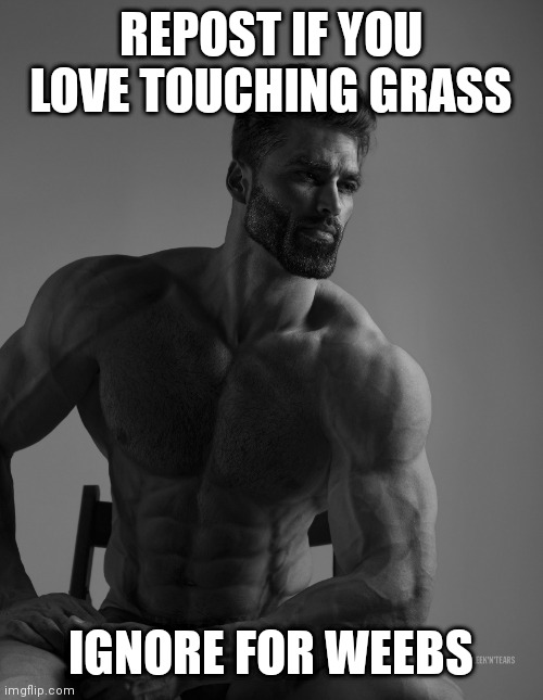 g | REPOST IF YOU LOVE TOUCHING GRASS; IGNORE FOR WEEBS | image tagged in giga chad,memes | made w/ Imgflip meme maker