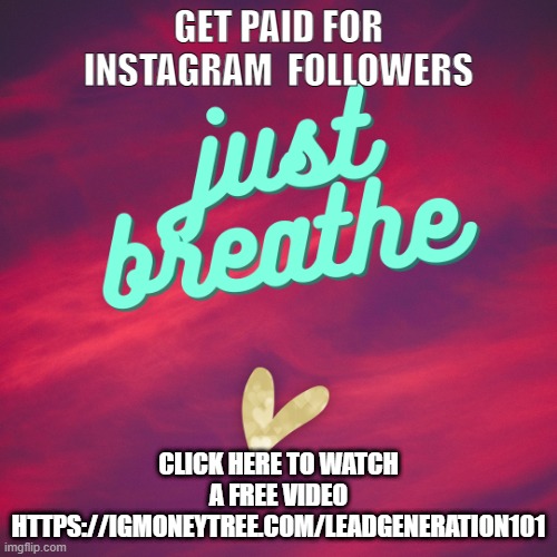 Instagram Money Tree | GET PAID FOR INSTAGRAM  FOLLOWERS; CLICK HERE TO WATCH A FREE VIDEO
HTTPS://IGMONEYTREE.COM/LEADGENERATION101 | image tagged in instagram money tree | made w/ Imgflip meme maker