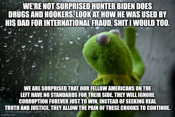 We have to come together |  WE'RE NOT SURPRISED HUNTER BIDEN DOES DRUGS AND HOOKERS. LOOK AT HOW HE WAS USED BY HIS DAD FOR INTERNATIONAL FRAUD, SHIT I WOULD TOO. WE ARE SURPRISED THAT OUR FELLOW AMERICANS ON THE LEFT HAVE NO STANDARDS FOR THEIR SIDE. THEY WILL IGNORE CORRUPTION FOREVER JUST TO WIN, INSTEAD OF SEEKING REAL TRUTH AND JUSTICE. THEY ALLOW THE PAIN OF THESE CROOKS TO CONTINUE. | image tagged in kermit window,liberal logic,sad but true,double standards,hunter biden | made w/ Imgflip meme maker