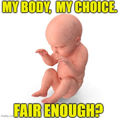 My body, my choice | MY BODY,  MY CHOICE. FAIR ENOUGH? | image tagged in abortion,pro-life,values,left wing,right wing,children | made w/ Imgflip meme maker