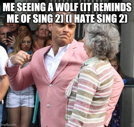 man punching grandmother in face | ME SEEING A WOLF (IT REMINDS ME OF SING 2) (I HATE SING 2) | image tagged in man punching grandmother in face | made w/ Imgflip meme maker