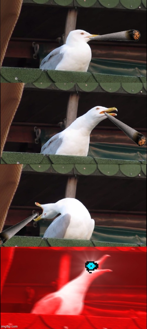 Inhaling Seagull Meme | image tagged in memes,inhaling seagull | made w/ Imgflip meme maker