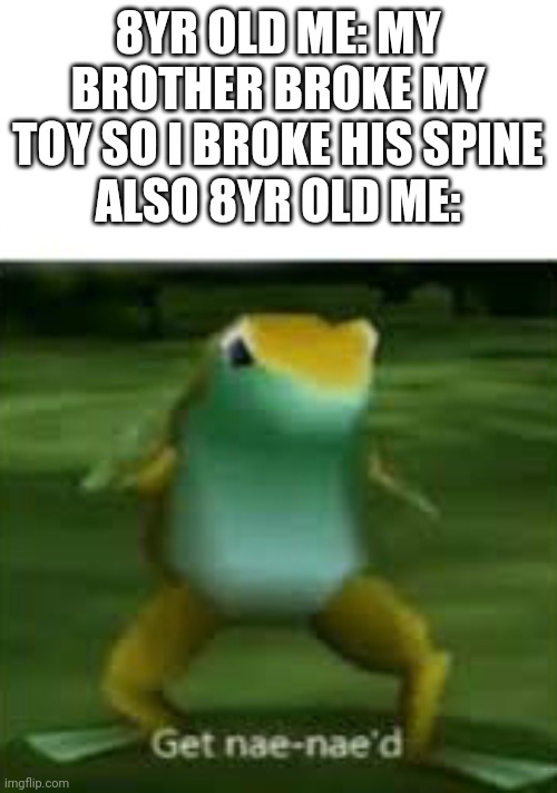 Get nae nae'd | 8YR OLD ME: MY BROTHER BROKE MY TOY SO I BROKE HIS SPINE
ALSO 8YR OLD ME: | image tagged in get nae nae'd | made w/ Imgflip meme maker