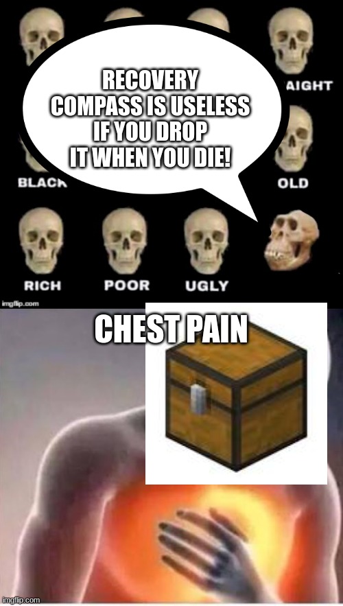 Just put it in a chest | RECOVERY COMPASS IS USELESS IF YOU DROP IT WHEN YOU DIE! CHEST PAIN | image tagged in idiot skull,chest pain | made w/ Imgflip meme maker