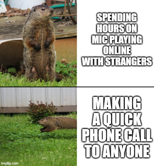 GopherBro | SPENDING HOURS ON MIC PLAYING ONLINE WITH STRANGERS; MAKING A QUICK PHONE CALL TO ANYONE | image tagged in meme,new template | made w/ Imgflip meme maker