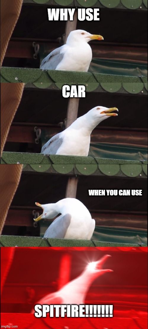 Inhaling Seagull Meme | WHY USE; CAR; WHEN YOU CAN USE; SPITFIRE!!!!!!! | image tagged in memes,inhaling seagull | made w/ Imgflip meme maker