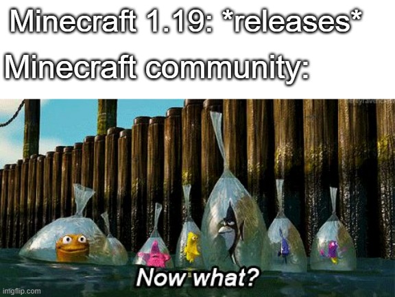 What will 1.20 be? | Minecraft 1.19: *releases*; Minecraft community: | image tagged in now what | made w/ Imgflip meme maker