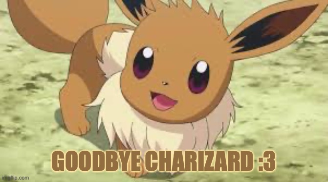 Eevee | GOODBYE CHARIZARD :3 | image tagged in eevee | made w/ Imgflip meme maker