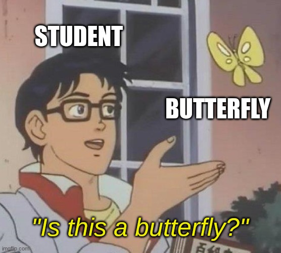 Is This A Pigeon | STUDENT; BUTTERFLY; "Is this a butterfly?" | image tagged in memes,is this a pigeon,antimeme,funny | made w/ Imgflip meme maker