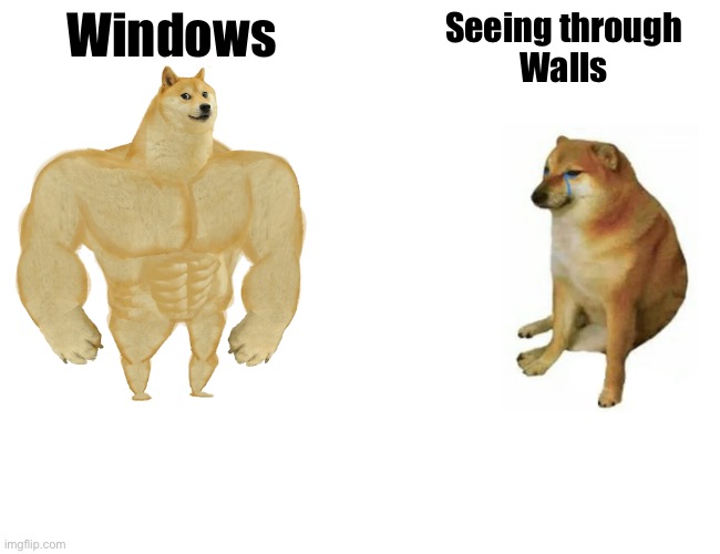 Buff Doge vs. Cheems | Windows; Seeing through
Walls | image tagged in memes,buff doge vs cheems | made w/ Imgflip meme maker