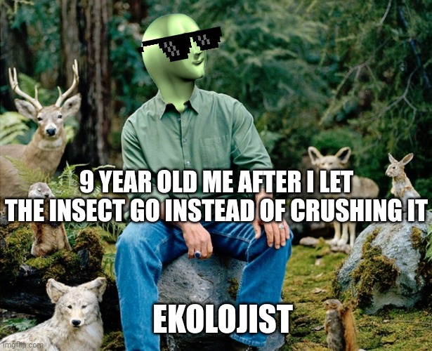 Ekolojist | 9 YEAR OLD ME AFTER I LET THE INSECT GO INSTEAD OF CRUSHING IT; EKOLOJIST | image tagged in ekolojist | made w/ Imgflip meme maker