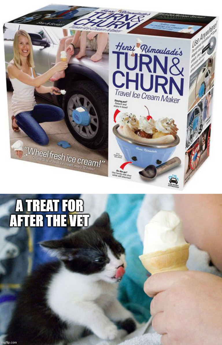 A TREAT FOR AFTER THE VET | image tagged in kitty wants ice cream,fake | made w/ Imgflip meme maker