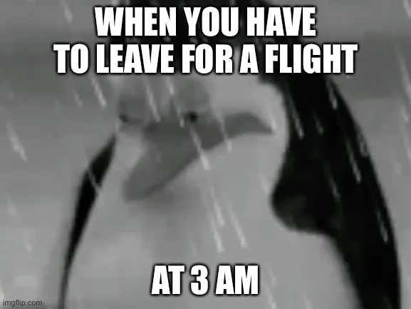 Sadge | WHEN YOU HAVE TO LEAVE FOR A FLIGHT; AT 3 AM | image tagged in sadge | made w/ Imgflip meme maker