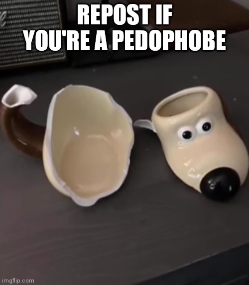 shattered gromit mug | REPOST IF YOU'RE A PEDOPHOBE | image tagged in shattered gromit mug | made w/ Imgflip meme maker