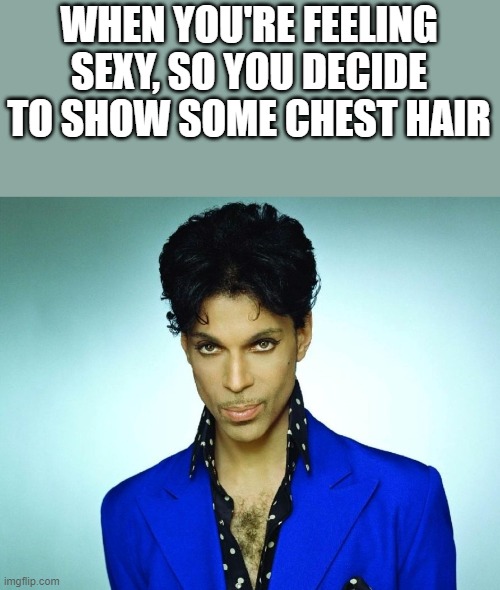 Feeling Sexy, So You Show Some Chest Hair | WHEN YOU'RE FEELING SEXY, SO YOU DECIDE TO SHOW SOME CHEST HAIR | image tagged in sexy,sexy man,prince,chest hair,funny,memes | made w/ Imgflip meme maker