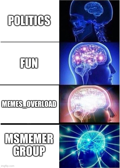 Expanding Brain | POLITICS; FUN; MEMES_OVERLOAD; MSMEMER GROUP | image tagged in memes,expanding brain | made w/ Imgflip meme maker