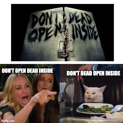 I'm on the cat's side for this one :P |  DON'T DEAD OPEN INSIDE; DON'T OPEN DEAD INSIDE | image tagged in the walking dead,woman yelling at cat | made w/ Imgflip meme maker