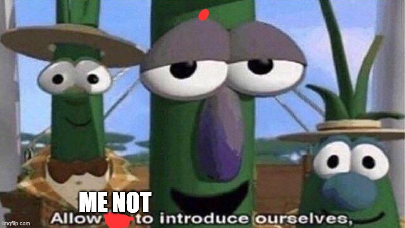 VeggieTales 'Allow us to introduce ourselfs' | ME NOT | image tagged in veggietales 'allow us to introduce ourselfs' | made w/ Imgflip meme maker
