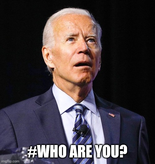 81 million | #WHO ARE YOU? | image tagged in joe biden | made w/ Imgflip meme maker