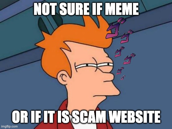 Futurama Fry Meme | NOT SURE IF MEME; OR IF IT IS SCAM WEBSITE | image tagged in memes,futurama fry | made w/ Imgflip meme maker