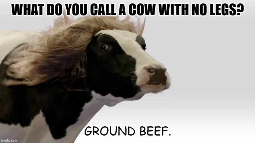Daily Bad Dad Joke JUne 8 2022 | WHAT DO YOU CALL A COW WITH NO LEGS? GROUND BEEF. | image tagged in fabio cow | made w/ Imgflip meme maker