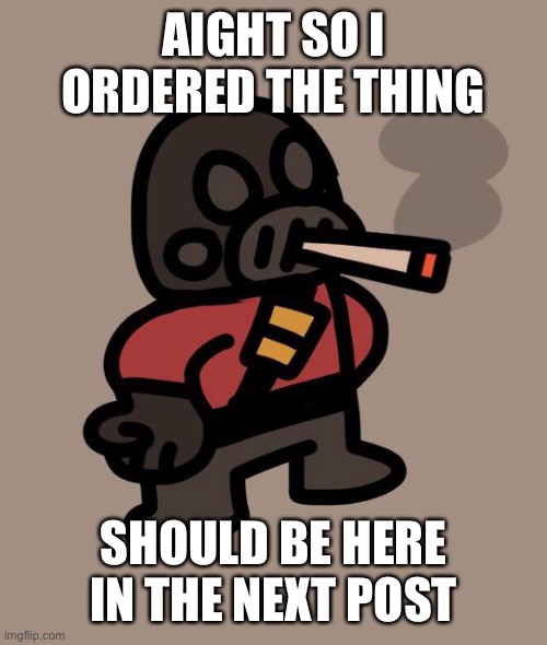 Pyro smokes a fat blunt | AIGHT SO I ORDERED THE THING; SHOULD BE HERE IN THE NEXT POST | image tagged in pyro smokes a fat blunt | made w/ Imgflip meme maker