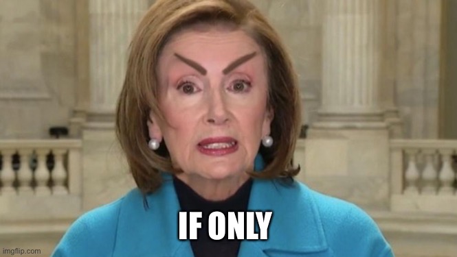 One eyebrow to rule | IF ONLY | image tagged in one eyebrow to rule | made w/ Imgflip meme maker