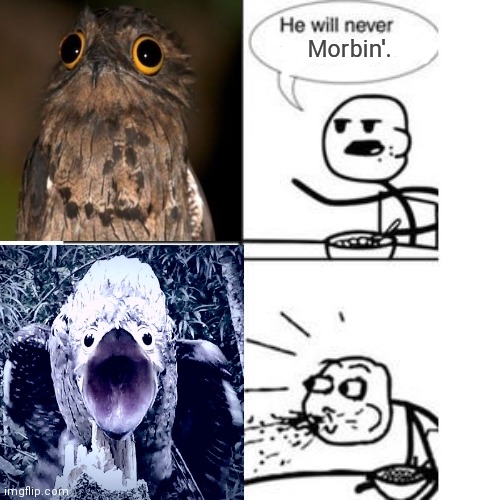 He be Morbin' | Morbin'. | image tagged in he will never have a girlfriend spits out food,morbius,weird stuff i do potoo | made w/ Imgflip meme maker